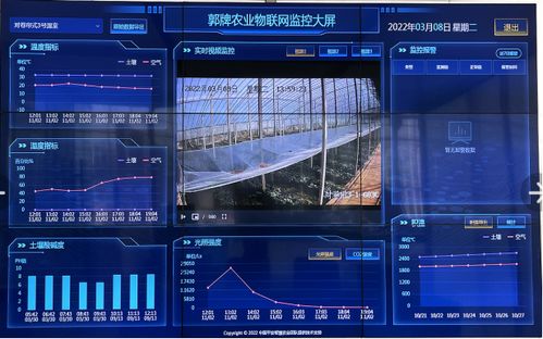 數(shù)字技術如何讓我們的瓜果更美味